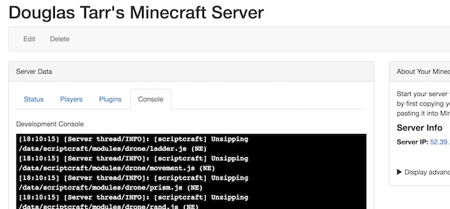 Minecraft Console Interface